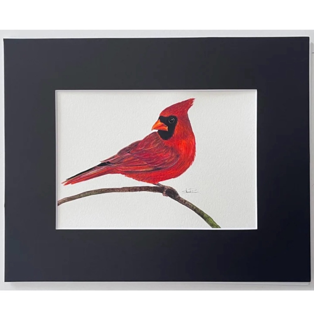 Original Watercolor Cardinal Bird Painting by me (Shannon Perrie/Perrie…